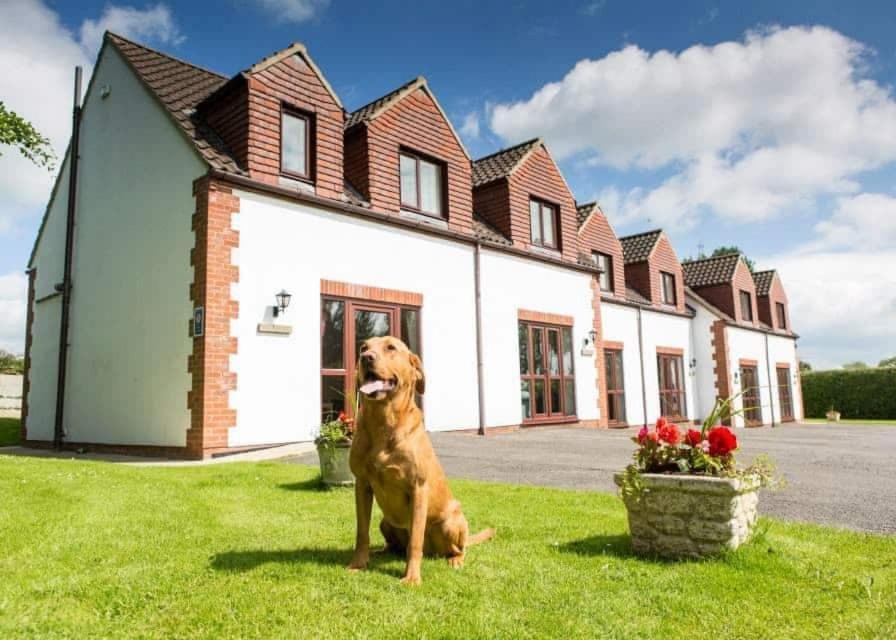White Rose Country Cottages Thormanby Buitenkant foto